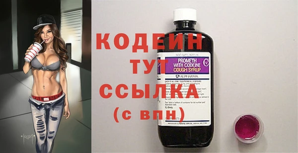 спайс Каменка