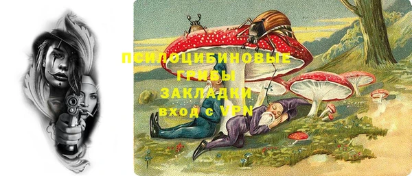 спайс Каменка