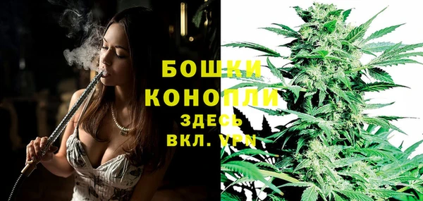 спайс Каменка