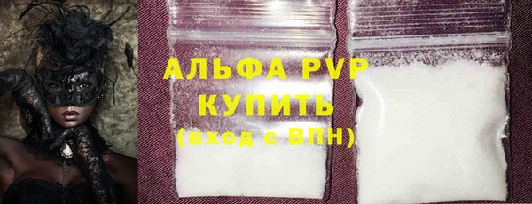 спайс Каменка