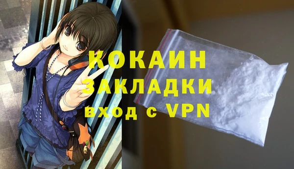 спайс Каменка