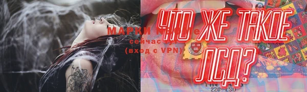 спайс Каменка