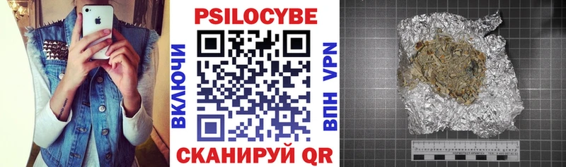 Галлюциногенные грибы Cubensis Купить закладки Зима