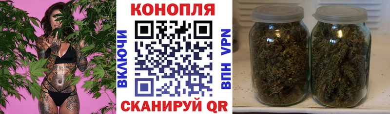 Купить  Зима  Шишки марихуана LSD WEED 